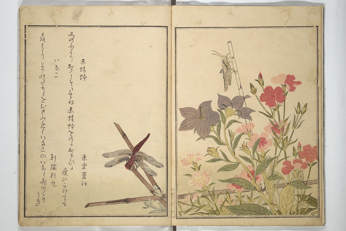 Picture Book of Selected Insects (The Insect Book) (Ehon mushi erami) 画本虫撰, Kitagawa Utamaro 喜多川歌麿 (Japanese, ca. 1754–1806), Set of two woodblock printed books; ink, color, and mica (vol. 2) on paper, Japan