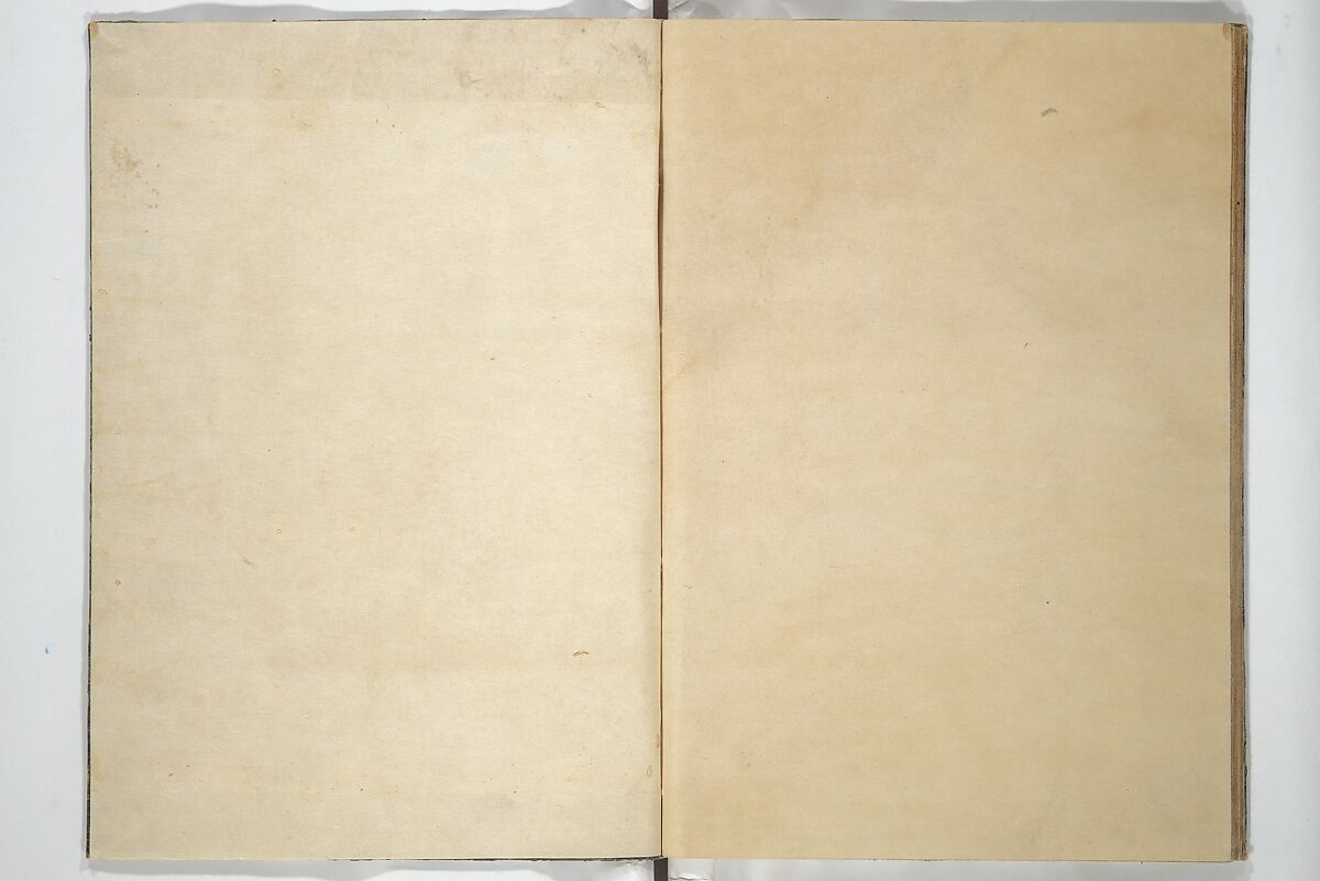 Picture Book of Selected Insects (The Insect Book) (Ehon mushi erami) 画本虫撰, Kitagawa Utamaro 喜多川歌麿 (Japanese, ca. 1754–1806), Set of two woodblock printed books; ink, color, and mica (vol. 2) on paper, Japan