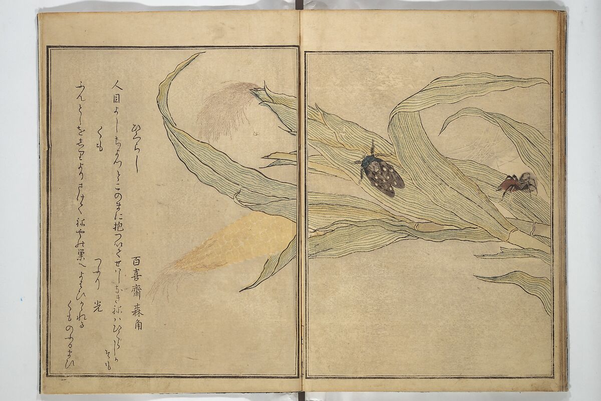 Picture Book of Selected Insects (The Insect Book) (Ehon mushi erami) 画本虫撰, Kitagawa Utamaro 喜多川歌麿 (Japanese, ca. 1754–1806), Set of two woodblock printed books; ink, color, and mica (vol. 2) on paper, Japan