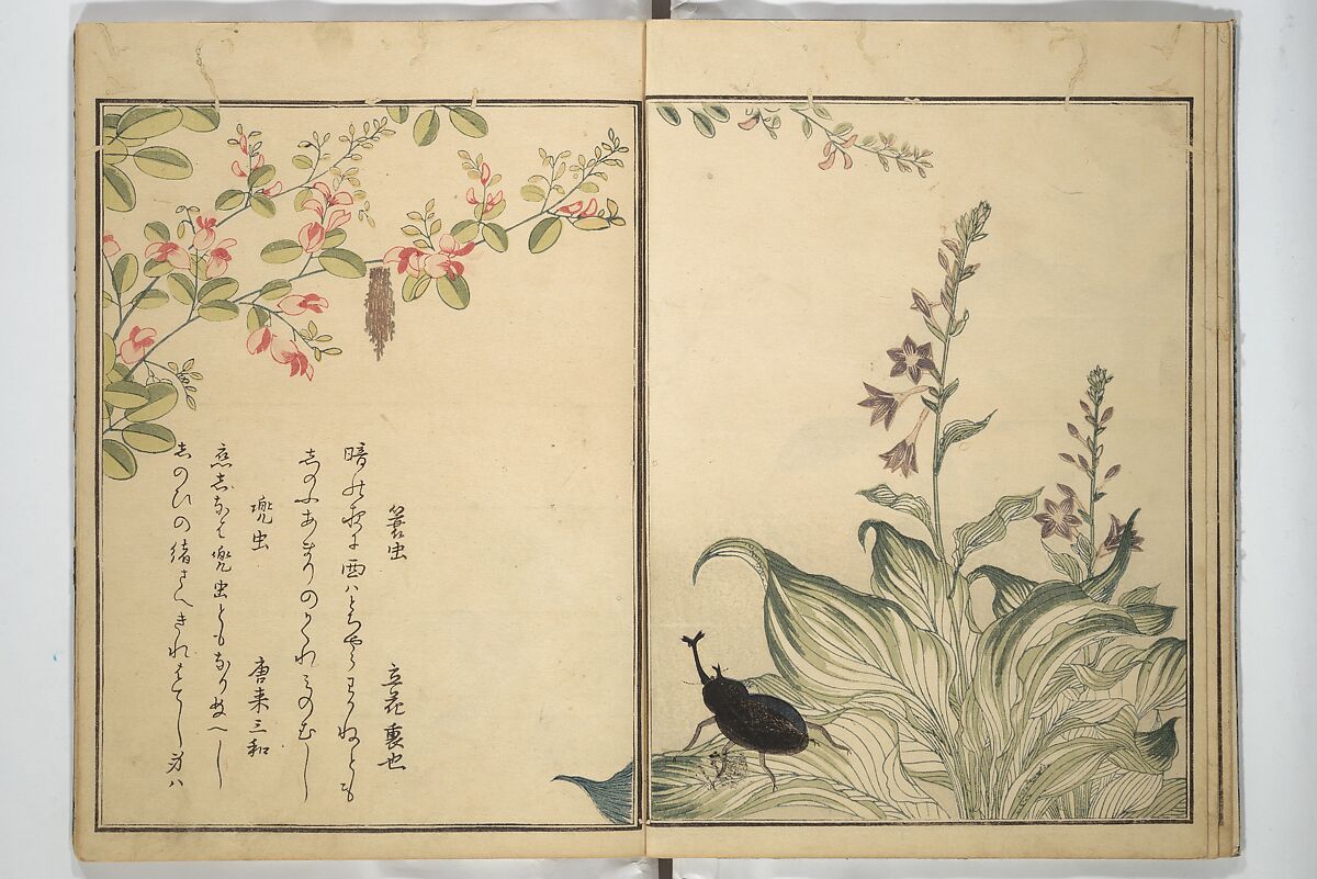 Picture Book of Selected Insects (The Insect Book) (Ehon mushi erami) 画本虫撰, Kitagawa Utamaro 喜多川歌麿 (Japanese, ca. 1754–1806), Set of two woodblock printed books; ink, color, and mica (vol. 2) on paper, Japan