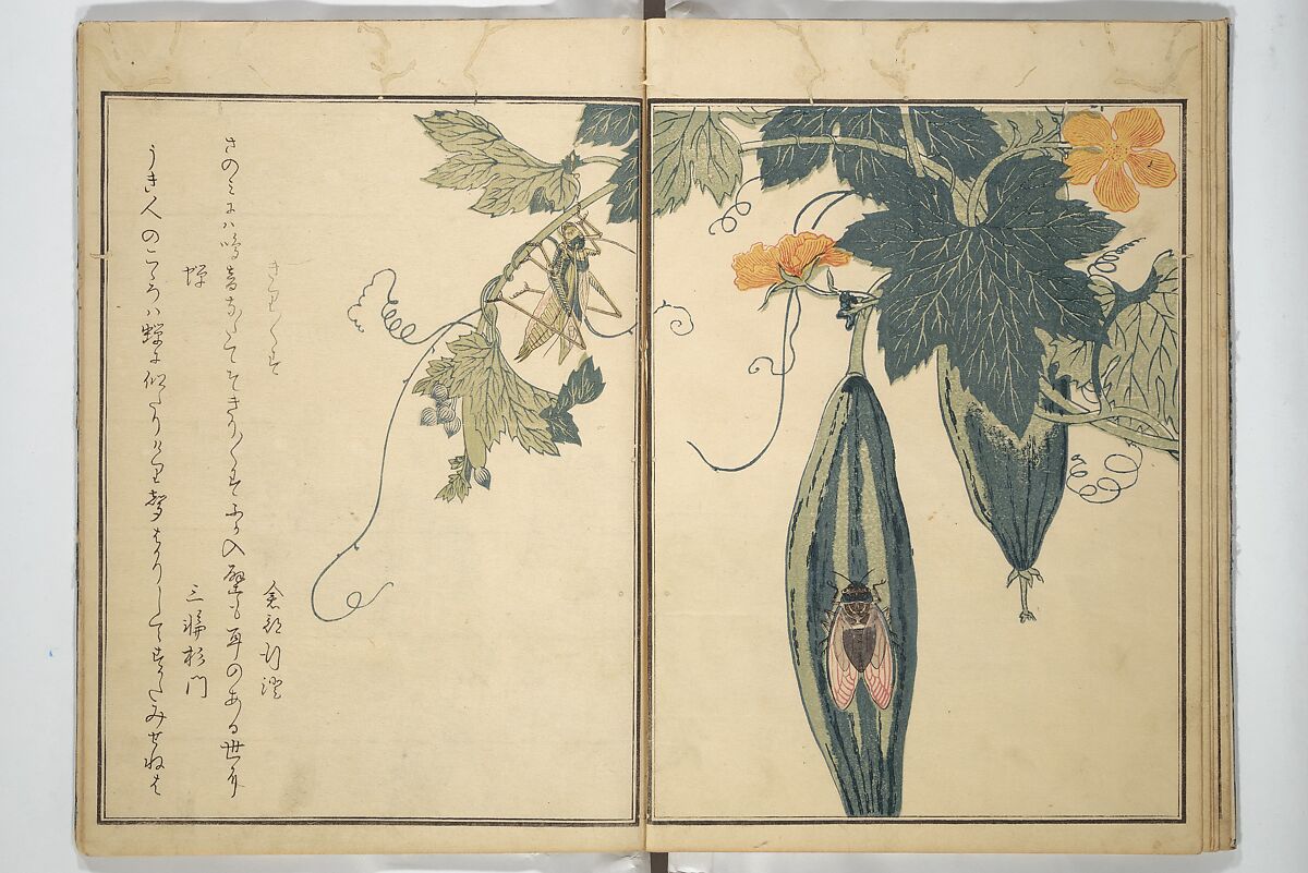 Picture Book of Selected Insects (The Insect Book) (Ehon mushi erami) 画本虫撰, Kitagawa Utamaro 喜多川歌麿 (Japanese, ca. 1754–1806), Set of two woodblock printed books; ink, color, and mica (vol. 2) on paper, Japan