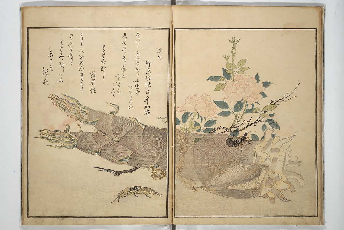 Picture Book of Selected Insects (The Insect Book) (Ehon mushi erami) 画本虫撰, Kitagawa Utamaro 喜多川歌麿 (Japanese, ca. 1754–1806), Set of two woodblock printed books; ink, color, and mica (vol. 2) on paper, Japan