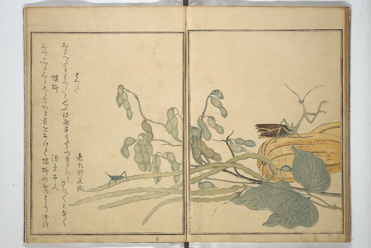 Picture Book of Selected Insects (The Insect Book) (Ehon mushi erami) 画本虫撰, Kitagawa Utamaro 喜多川歌麿 (Japanese, ca. 1754–1806), Set of two woodblock printed books; ink, color, and mica (vol. 2) on paper, Japan