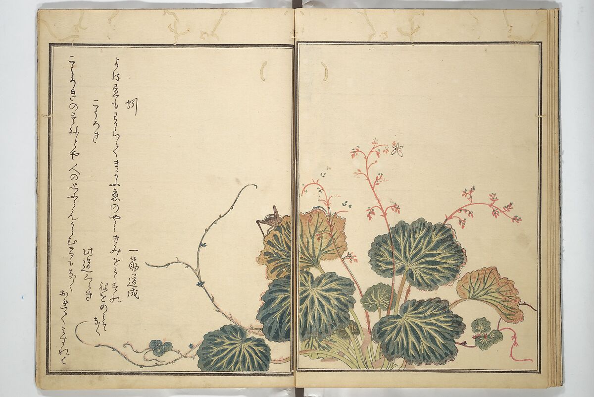 Picture Book of Selected Insects (The Insect Book) (Ehon mushi erami) 画本虫撰, Kitagawa Utamaro 喜多川歌麿 (Japanese, ca. 1754–1806), Set of two woodblock printed books; ink, color, and mica (vol. 2) on paper, Japan