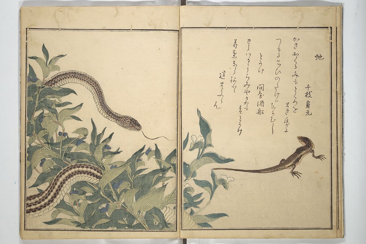 Picture Book of Selected Insects (The Insect Book) (Ehon mushi erami) 画本虫撰, Kitagawa Utamaro 喜多川歌麿 (Japanese, ca. 1754–1806), Set of two woodblock printed books; ink, color, and mica (vol. 2) on paper, Japan