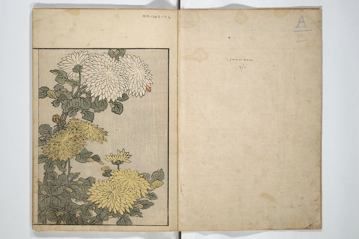 Picture Book on Flowers of the Four Seasons (Ehon shiki no hana) 絵本四季花, Kitagawa Utamaro 喜多川歌麿 (Japanese, ca. 1754–1806), Set of two woodblock printed books; ink and color on paper, Japan