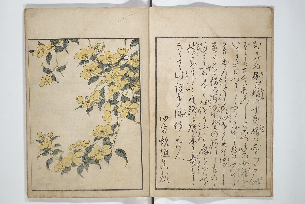 Picture Book on Flowers of the Four Seasons (Ehon shiki no hana) 絵本四季花, Kitagawa Utamaro 喜多川歌麿 (Japanese, ca. 1754–1806), Set of two woodblock printed books; ink and color on paper, Japan
