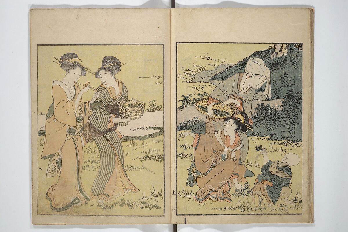 Picture Book on Flowers of the Four Seasons (Ehon shiki no hana) 絵本四季花, Kitagawa Utamaro 喜多川歌麿 (Japanese, ca. 1754–1806), Set of two woodblock printed books; ink and color on paper, Japan