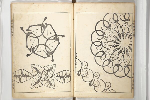 Shell Motifs (Kaigara dammen zuan) 貝殻断面図案, Yoichirō Hirase 平瀬 與一郎 (Japanese, 1859–1925), Woodblock printed book; ink and color on paper, Japan