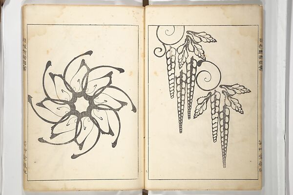 Shell Motifs (Kaigara dammen zuan) 貝殻断面図案, Yoichirō Hirase 平瀬 與一郎 (Japanese, 1859–1925), Woodblock printed book; ink and color on paper, Japan