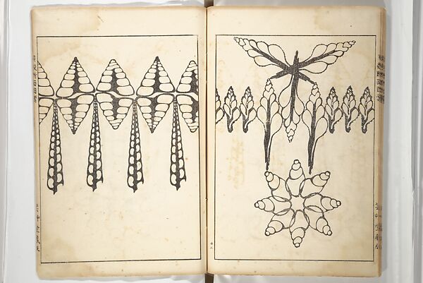 Shell Motifs (Kaigara dammen zuan) 貝殻断面図案, Yoichirō Hirase 平瀬 與一郎 (Japanese, 1859–1925), Woodblock printed book; ink and color on paper, Japan