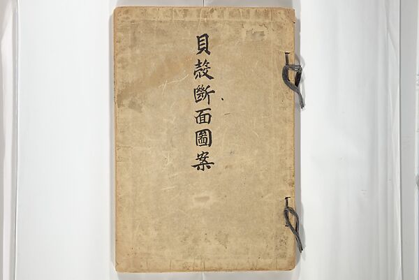 Shell Motifs (Kaigara dammen zuan) 貝殻断面図案, Yoichirō Hirase 平瀬 與一郎 (Japanese, 1859–1925), Woodblock printed book; ink and color on paper, Japan