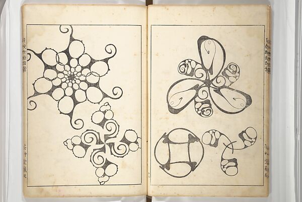 Shell Motifs (Kaigara dammen zuan) 貝殻断面図案, Yoichirō Hirase 平瀬 與一郎 (Japanese, 1859–1925), Woodblock printed book; ink and color on paper, Japan