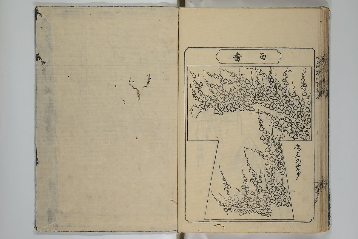Book of Kosode Patterns (Hiinagata Ise no umi) 雛形伊勢乃海, Enoki Shinuemon Hironobu 榎木新右衛門 寛命 (Japanese, active mid- 18th century), Three woodblock-printed books bound as one; ink on paper, Japan