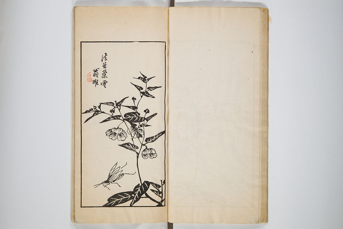An Album of the Collection Belonging to Kochōshusai (The Courtesy Name of the Given Collector) (Kochōshusai shozō gassatsu) 蝴蜨秋斎所蔵畫冊, Unidentified artists Japanese, Set of two woodblock printed books bound as one volume; ink on paper, Japan