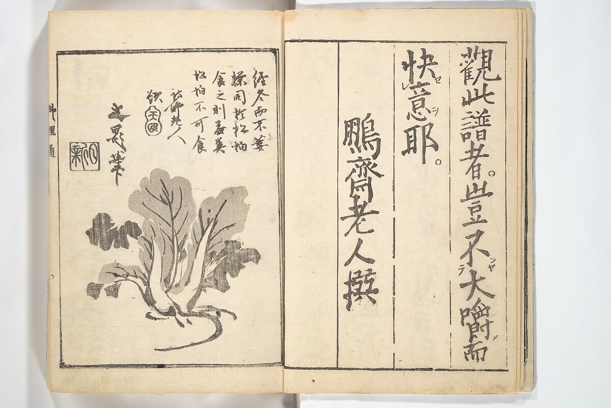 Handbook of Fashionable Cuisine for the Epicures of Edo (Edo ryūkō ryōri tsū taizen) 江戸流行料理通大全; 料理通初編&二編, Kuwagata Keisai 鍬形蕙斎 (Japanese, 1764–1824), Woodblock printed book; ink on paper, Japan