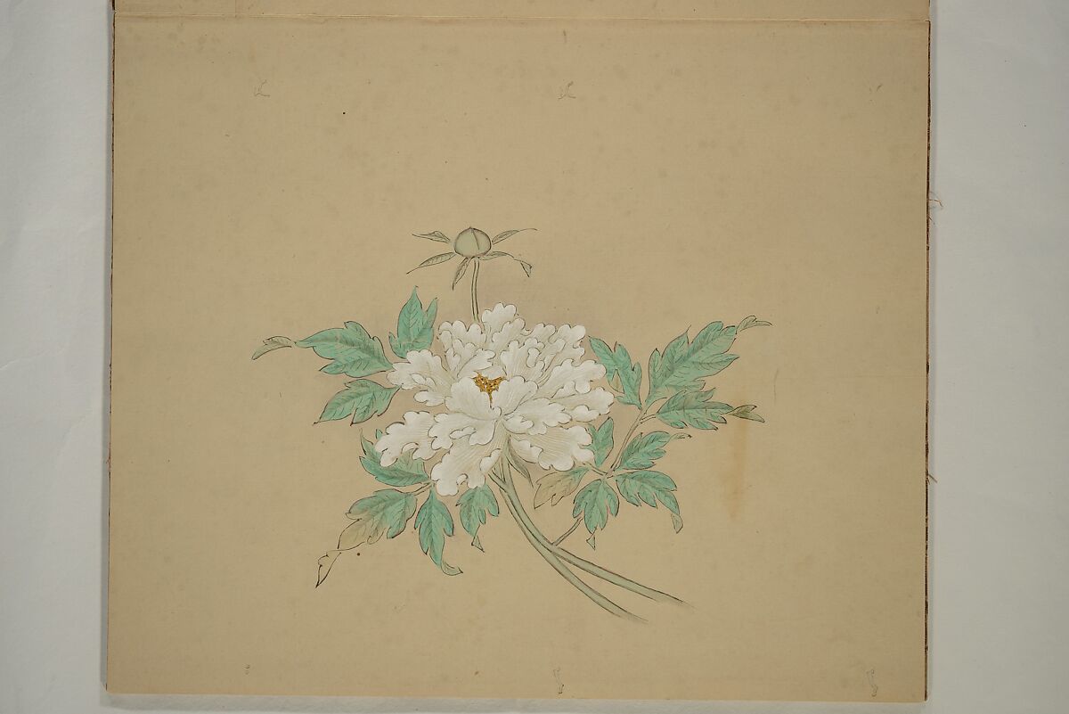 Album of Sketches, Yūkakudō 幽覚堂 (Japanese), Woodblock printed book (orihon, accordion-style); ink and color on paper, Japan