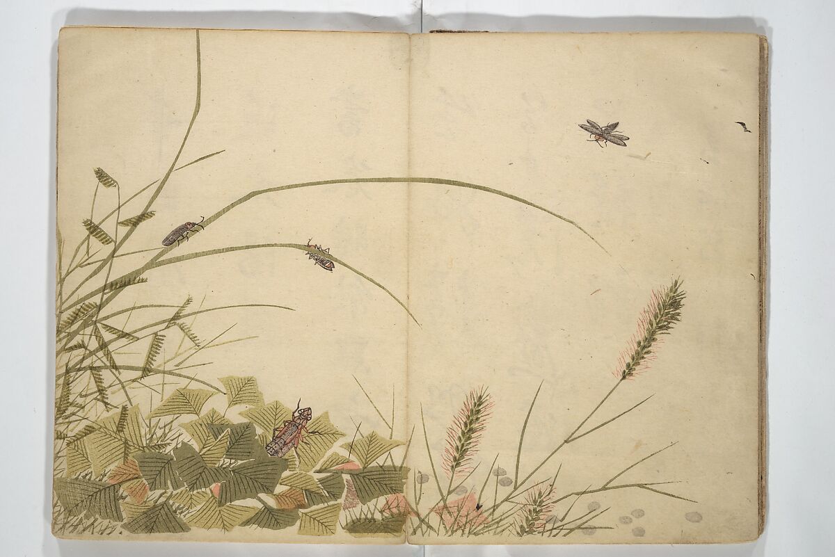 Mori Shunkei 森春渓 - Shunkei Picture Album (Shunkei gafu