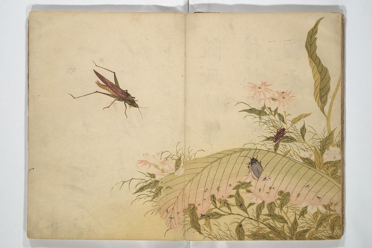 Shunkei Picture Album (Shunkei gafu) 春渓画譜, Mori Shunkei 森春渓 (Japanese, active 1800–20), Woodblock printed book (orihon, accordion-style); ink and color on paper, Japan