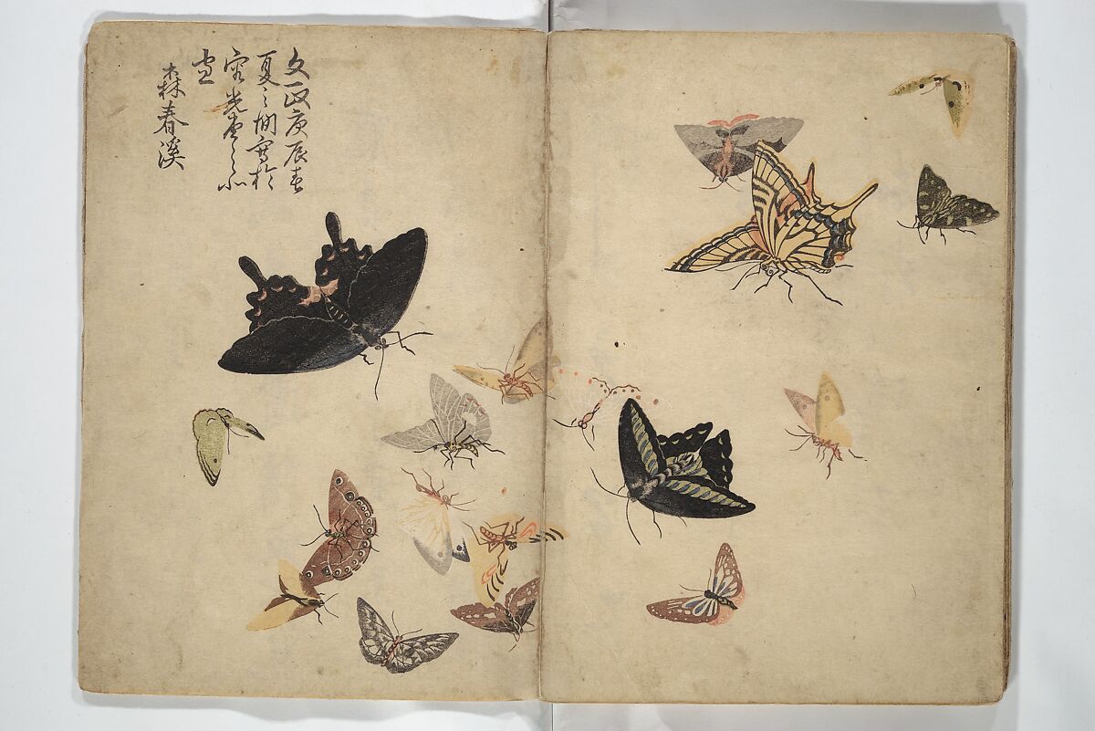 Shunkei Picture Album (Shunkei gafu) 春渓画譜, Mori Shunkei 森春渓 (Japanese, active 1800–20), Woodblock printed book (orihon, accordion-style); ink and color on paper, Japan