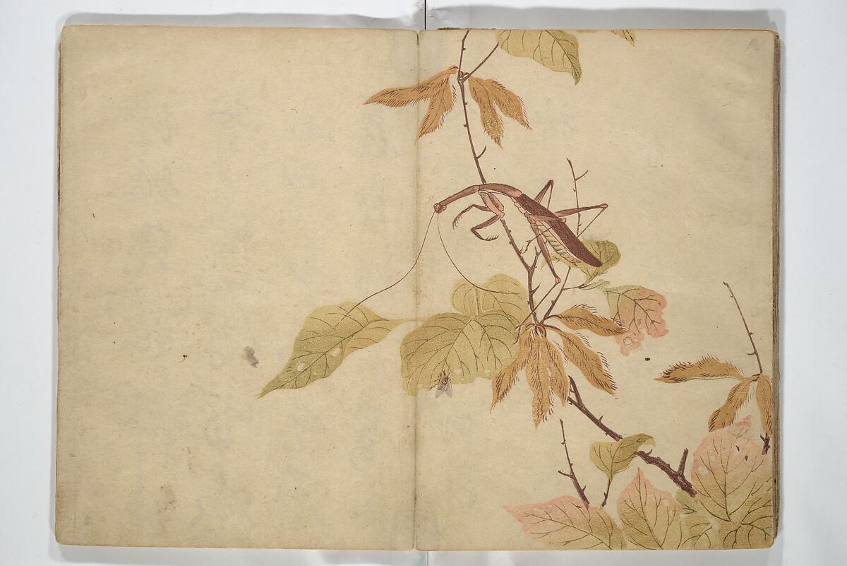 Shunkei Picture Album (Shunkei gafu) 春渓画譜, Mori Shunkei 森春渓 (Japanese, active 1800–20), Woodblock printed book (orihon, accordion-style); ink and color on paper, Japan