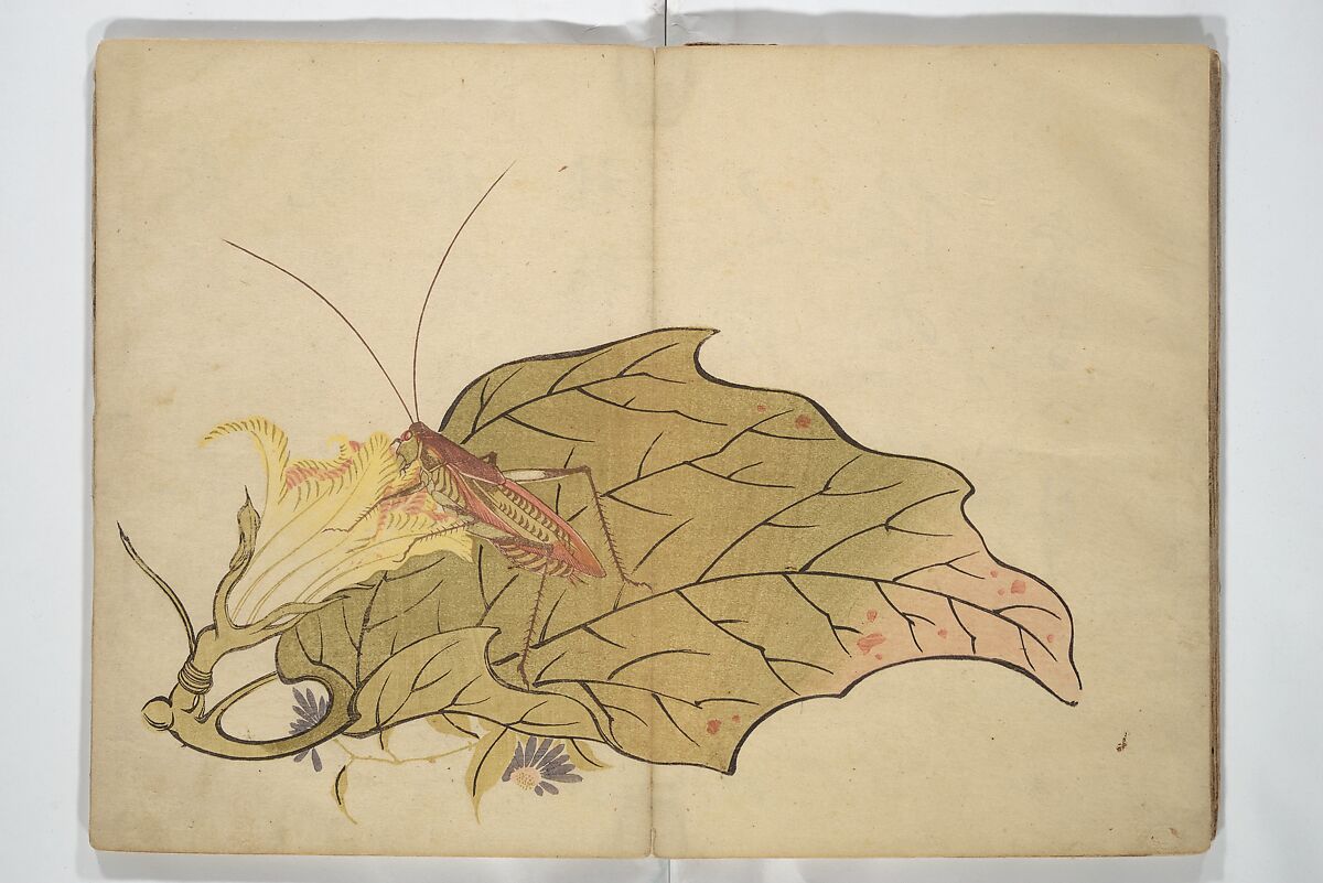 Shunkei Picture Album (Shunkei gafu) 春渓画譜, Mori Shunkei 森春渓 (Japanese, active 1800–20), Woodblock printed book (orihon, accordion-style); ink and color on paper, Japan
