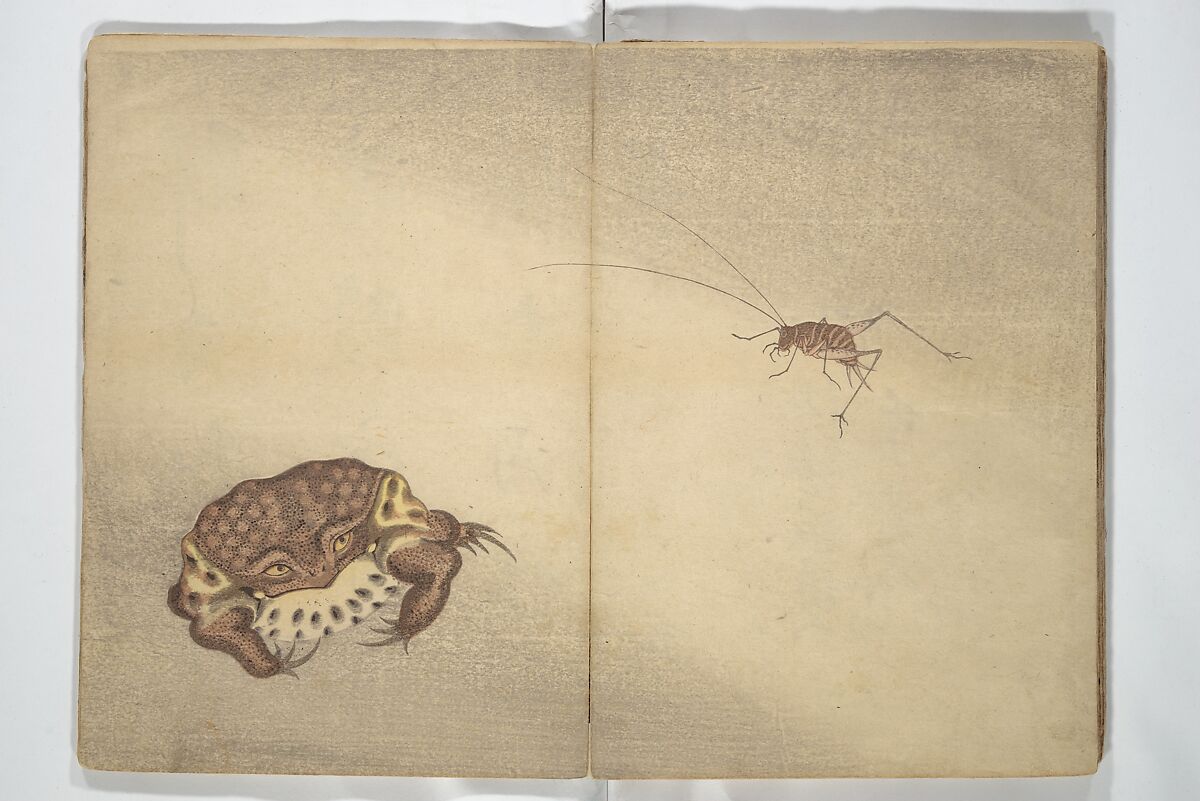 Shunkei Picture Album (Shunkei gafu) 春渓画譜, Mori Shunkei 森春渓 (Japanese, active 1800–20), Woodblock printed book (orihon, accordion-style); ink and color on paper, Japan