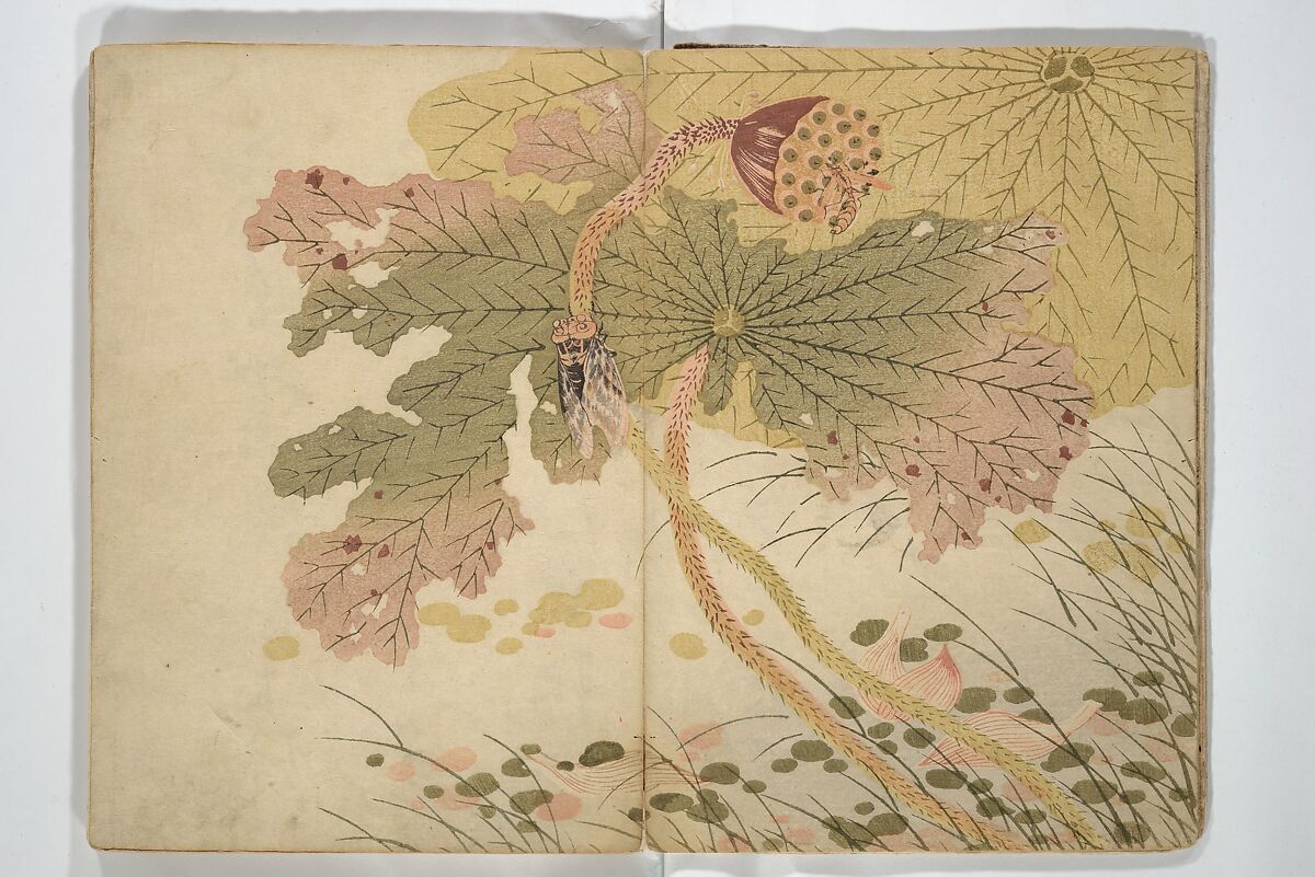 Shunkei Picture Album (Shunkei gafu) 春渓画譜, Mori Shunkei 森春渓 (Japanese, active 1800–20), Woodblock printed book (orihon, accordion-style); ink and color on paper, Japan