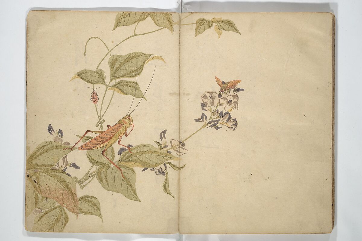 Shunkei Picture Album (Shunkei gafu) 春渓画譜, Mori Shunkei 森春渓 (Japanese, active 1800–20), Woodblock printed book (orihon, accordion-style); ink and color on paper, Japan