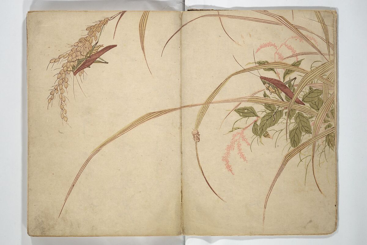 Shunkei Picture Album (Shunkei gafu) 春渓画譜, Mori Shunkei 森春渓 (Japanese, active 1800–20), Woodblock printed book (orihon, accordion-style); ink and color on paper, Japan 