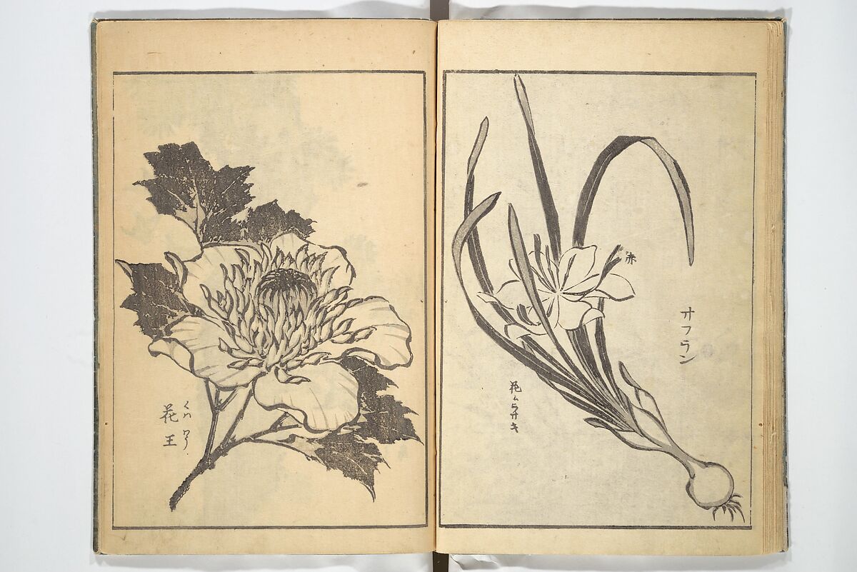 Old Manji’s Cursive Picture Album (Manji-ō sōhitsu gafu) 卍翁艸筆画譜, Katsushika Hokusai 葛飾北斎 (Japanese, Tokyo (Edo) 1760–1849 Tokyo (Edo)), Woodblock printed book; ink on paper, Japan