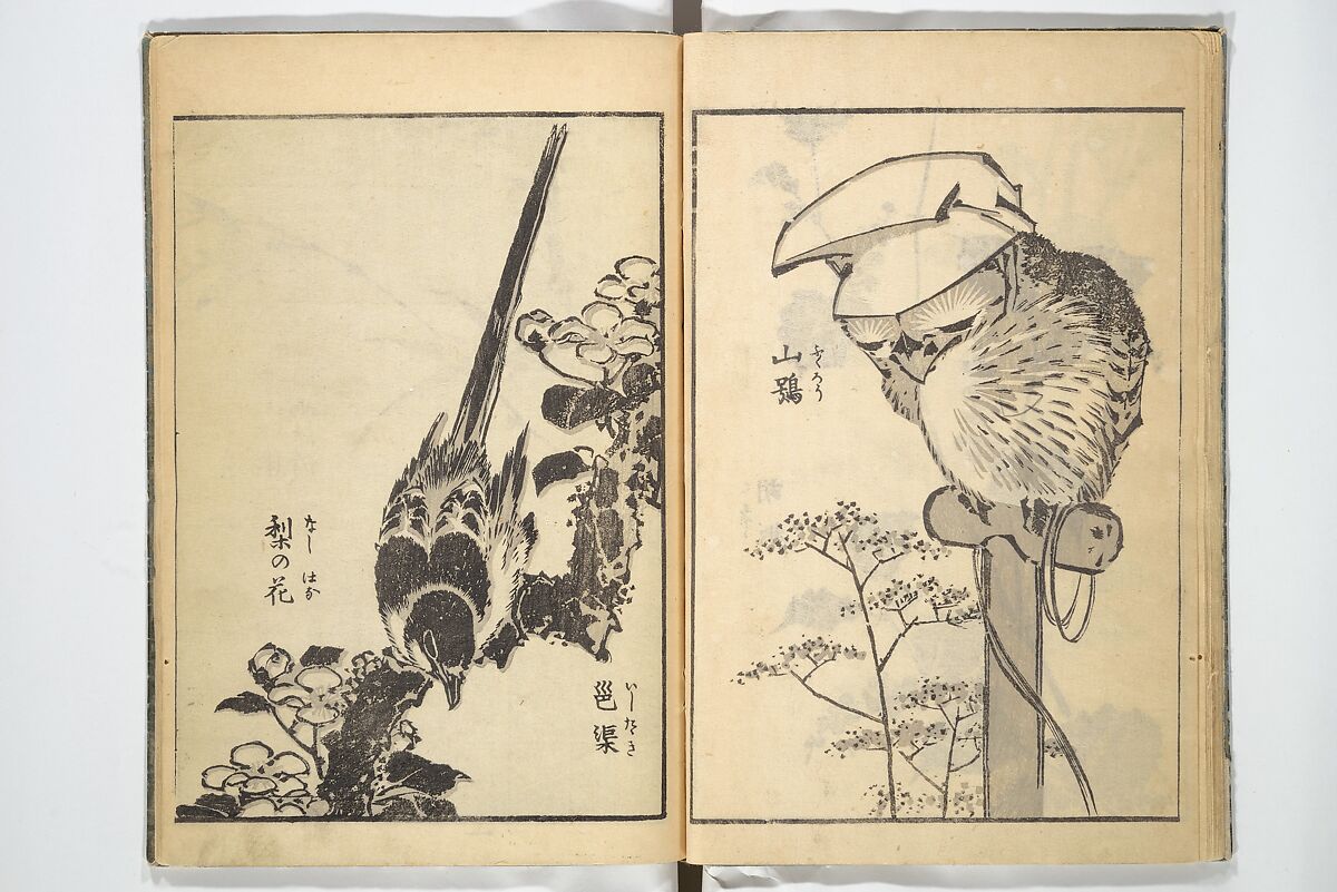 Old Manji’s Cursive Picture Album (Manji-ō sōhitsu gafu) 卍翁艸筆画譜, Katsushika Hokusai 葛飾北斎 (Japanese, Tokyo (Edo) 1760–1849 Tokyo (Edo)), Woodblock printed book; ink on paper, Japan