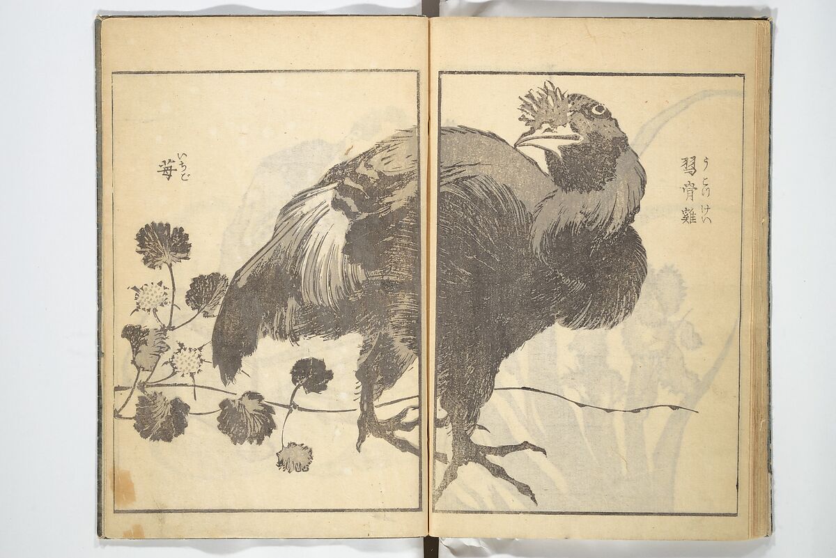 Old Manji’s Cursive Picture Album (Manji-ō sōhitsu gafu) 卍翁艸筆画譜, Katsushika Hokusai 葛飾北斎 (Japanese, Tokyo (Edo) 1760–1849 Tokyo (Edo)), Woodblock printed book; ink on paper, Japan