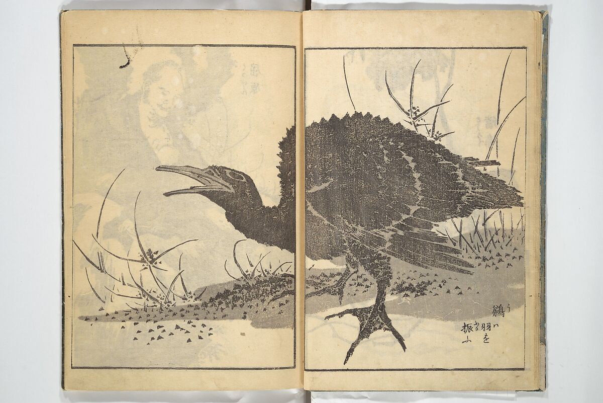 Old Manji’s Cursive Picture Album (Manji-ō sōhitsu gafu) 卍翁艸筆画譜, Katsushika Hokusai 葛飾北斎 (Japanese, Tokyo (Edo) 1760–1849 Tokyo (Edo)), Woodblock printed book; ink on paper, Japan