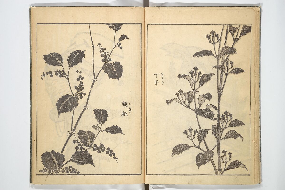 Old Manji’s Cursive Picture Album (Manji-ō sōhitsu gafu) 卍翁艸筆画譜, Katsushika Hokusai 葛飾北斎 (Japanese, Tokyo (Edo) 1760–1849 Tokyo (Edo)), Woodblock printed book; ink on paper, Japan