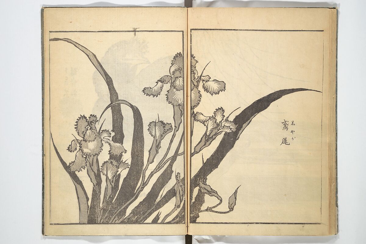 Old Manji’s Cursive Picture Album (Manji-ō sōhitsu gafu) 卍翁艸筆画譜, Katsushika Hokusai 葛飾北斎 (Japanese, Tokyo (Edo) 1760–1849 Tokyo (Edo)), Woodblock printed book; ink on paper, Japan