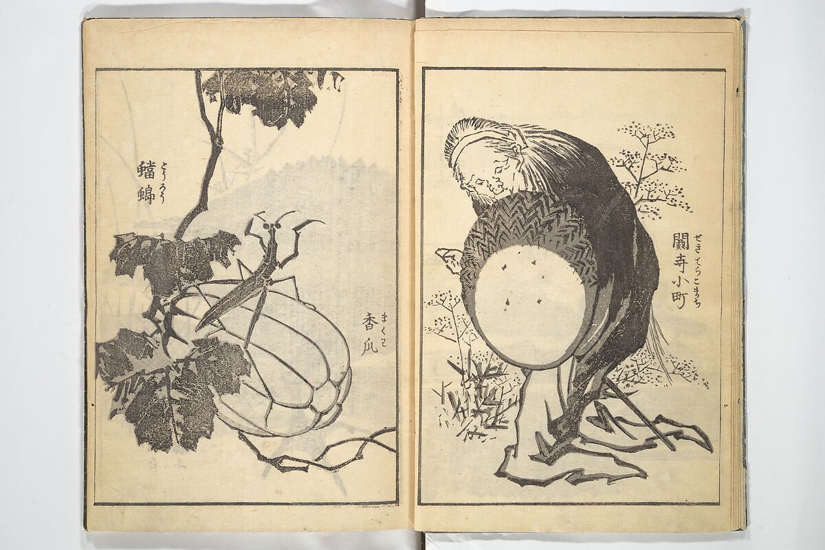 Old Manji’s Cursive Picture Album (Manji-ō sōhitsu gafu) 卍翁艸筆画譜, Katsushika Hokusai 葛飾北斎 (Japanese, Tokyo (Edo) 1760–1849 Tokyo (Edo)), Woodblock printed book; ink on paper, Japan