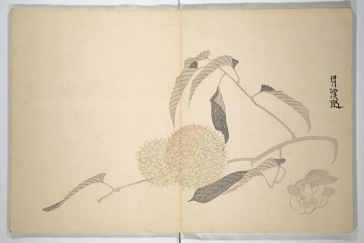 Collected Haiku Poems (Hokku shū) 発句集, Genki 源琦 (Komai Ki 駒井琦 (Japanese, 1747–1797), Woodblock printed book (orihon, accordion-style); ink and color on paper, Japan