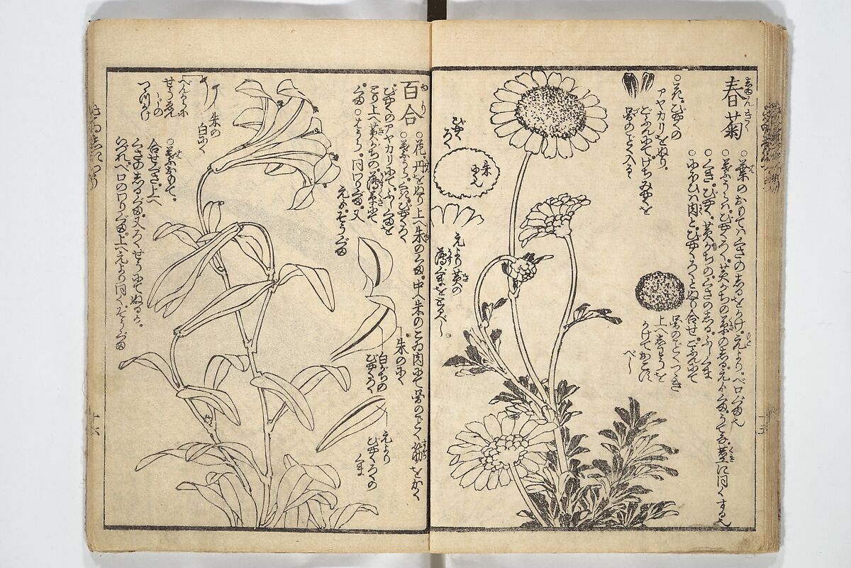 Picture Book on the Use of Coloring, first volume (Ehon saishikitsū shohen) 繪本彩色通 初編, Katsushika Hokusai 葛飾北斎 (Japanese, Tokyo (Edo) 1760–1849 Tokyo (Edo)), Woodblock printed book; ink on paper and color scribbles, Japan