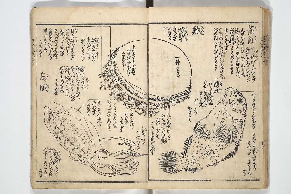 Picture Book on the Use of Coloring, first volume (Ehon saishikitsū shohen) 繪本彩色通 初編, Katsushika Hokusai 葛飾北斎 (Japanese, Tokyo (Edo) 1760–1849 Tokyo (Edo)), Woodblock printed book; ink on paper and color scribbles, Japan