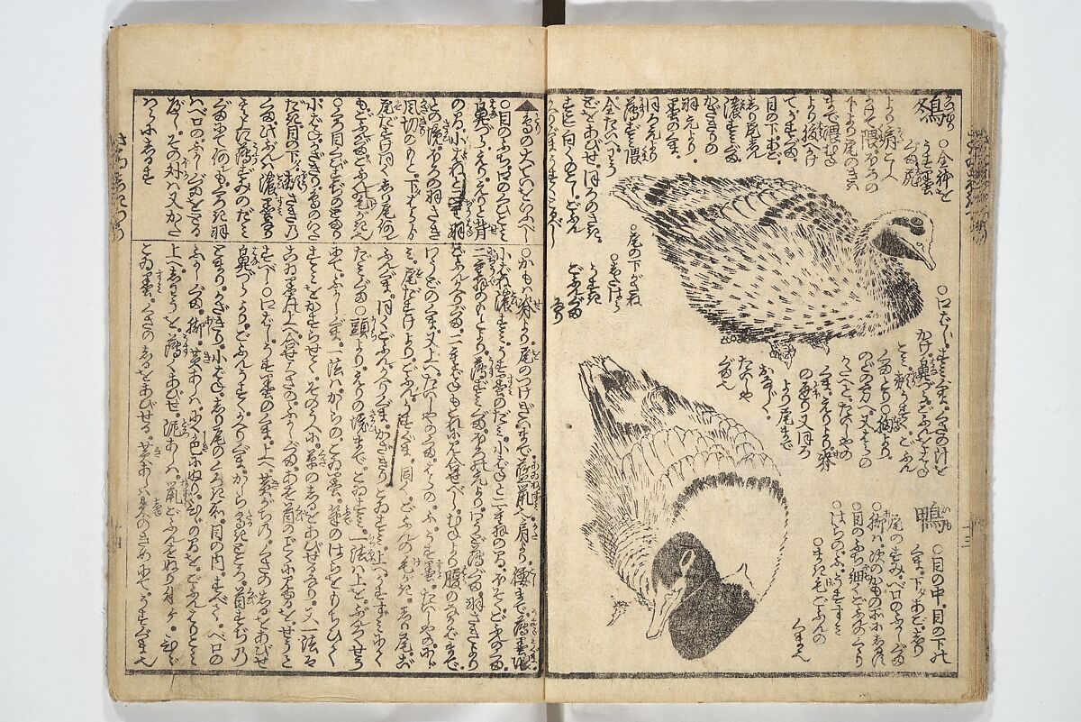 Picture Book on the Use of Coloring, first volume (Ehon saishikitsū shohen) 繪本彩色通 初編, Katsushika Hokusai 葛飾北斎 (Japanese, Tokyo (Edo) 1760–1849 Tokyo (Edo)), Woodblock printed book; ink on paper and color scribbles, Japan