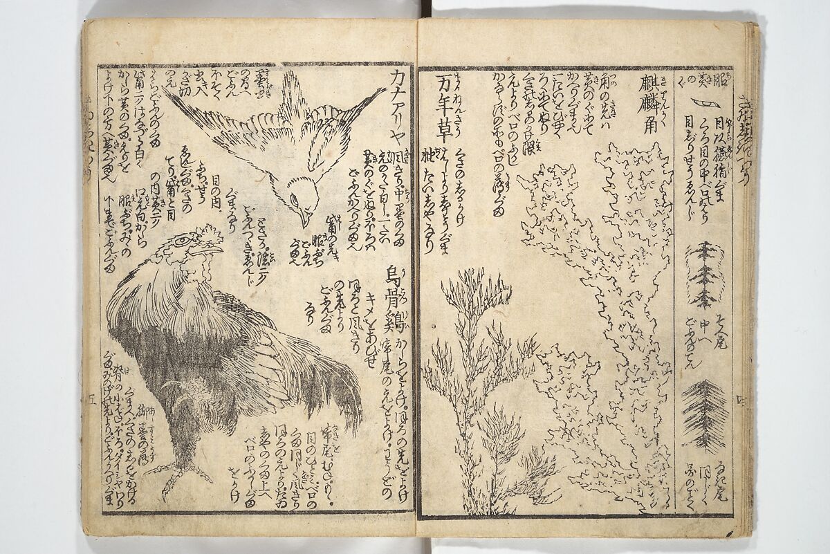 Picture Book on the Use of Coloring, first volume (Ehon saishikitsū shohen) 繪本彩色通 初編, Katsushika Hokusai 葛飾北斎 (Japanese, Tokyo (Edo) 1760–1849 Tokyo (Edo)), Woodblock printed book; ink on paper and color scribbles, Japan