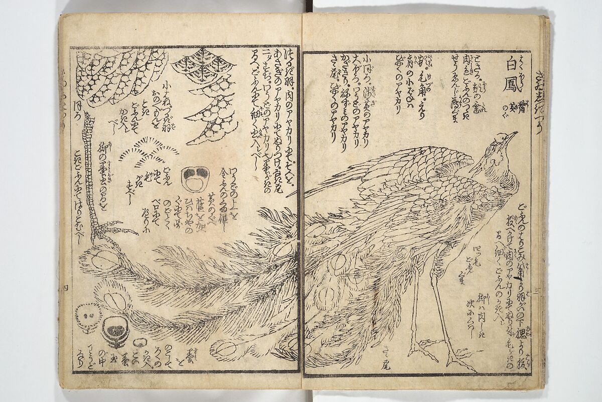 Picture Book on the Use of Coloring, first volume (Ehon saishikitsū shohen) 繪本彩色通 初編, Katsushika Hokusai 葛飾北斎 (Japanese, Tokyo (Edo) 1760–1849 Tokyo (Edo)), Woodblock printed book; ink on paper and color scribbles, Japan