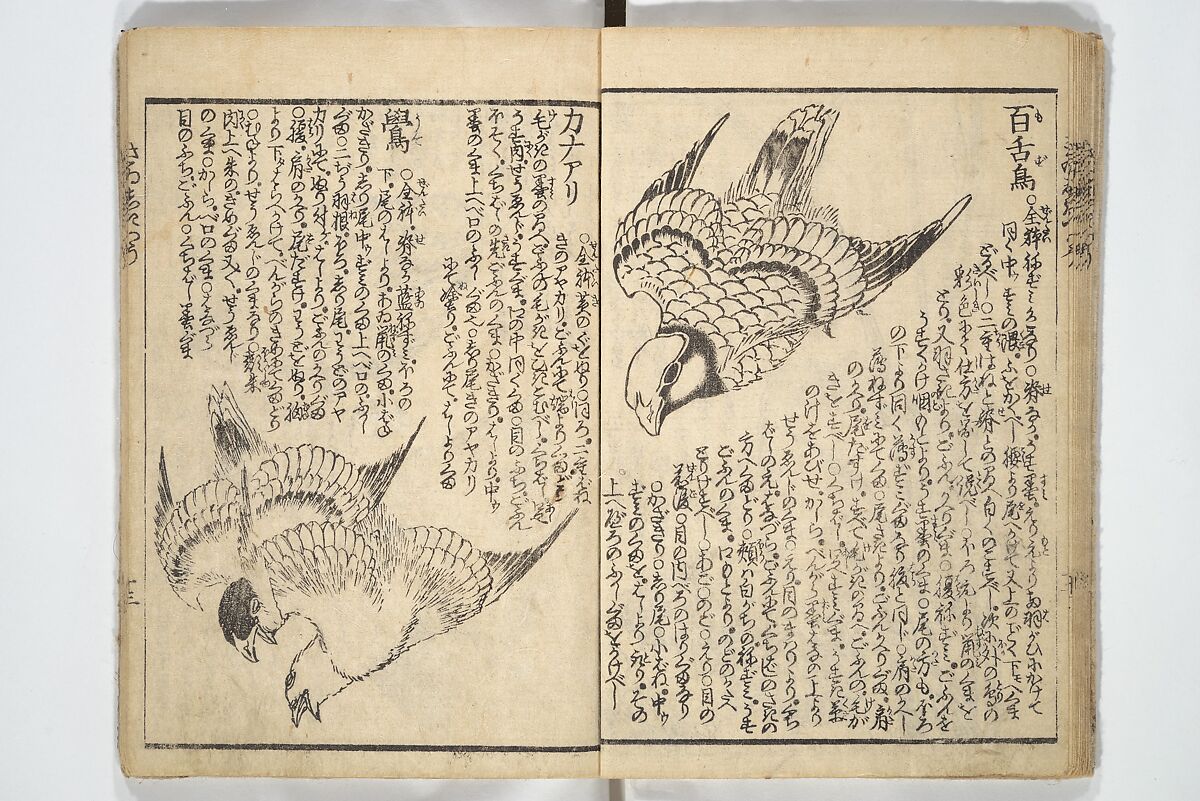 Picture Book on the Use of Coloring, first volume (Ehon saishikitsū shohen) 繪本彩色通 初編, Katsushika Hokusai 葛飾北斎 (Japanese, Tokyo (Edo) 1760–1849 Tokyo (Edo)), Woodblock printed book; ink on paper and color scribbles, Japan