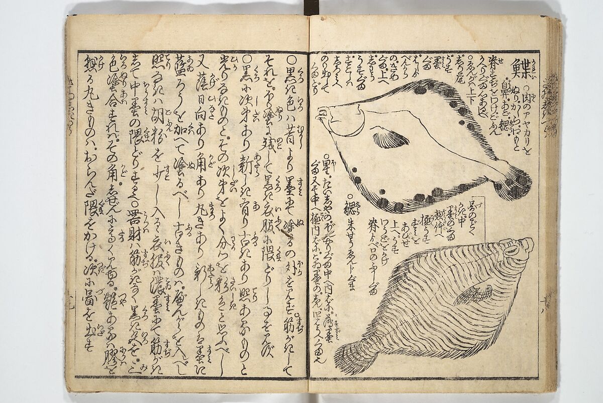 Picture Book on the Use of Coloring, first volume (Ehon saishikitsū shohen) 繪本彩色通 初編, Katsushika Hokusai 葛飾北斎 (Japanese, Tokyo (Edo) 1760–1849 Tokyo (Edo)), Woodblock printed book; ink on paper and color scribbles, Japan