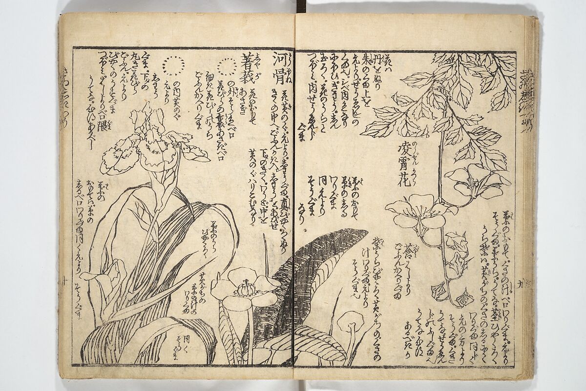 Picture Book on the Use of Coloring, first volume (Ehon saishikitsū shohen) 繪本彩色通 初編, Katsushika Hokusai 葛飾北斎 (Japanese, Tokyo (Edo) 1760–1849 Tokyo (Edo)), Woodblock printed book; ink on paper and color scribbles, Japan