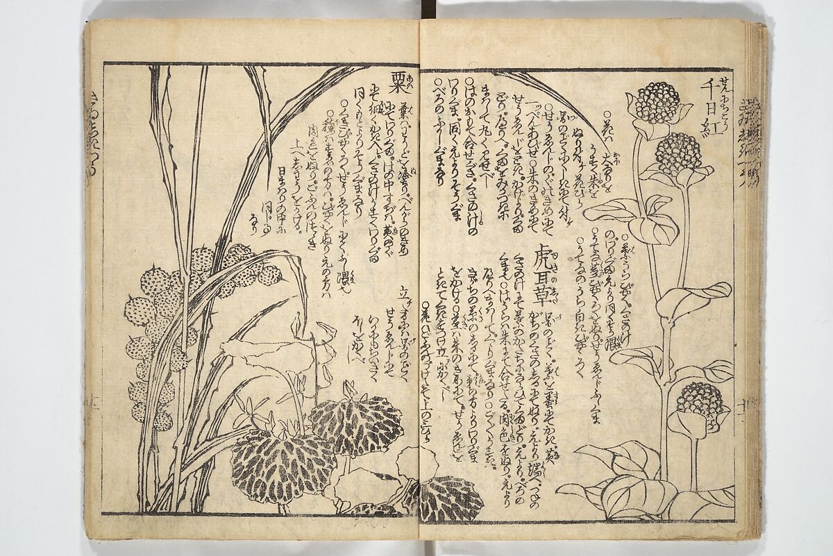 Picture Book on the Use of Coloring, first volume (Ehon saishikitsū shohen) 繪本彩色通 初編, Katsushika Hokusai 葛飾北斎 (Japanese, Tokyo (Edo) 1760–1849 Tokyo (Edo)), Woodblock printed book; ink on paper and color scribbles, Japan