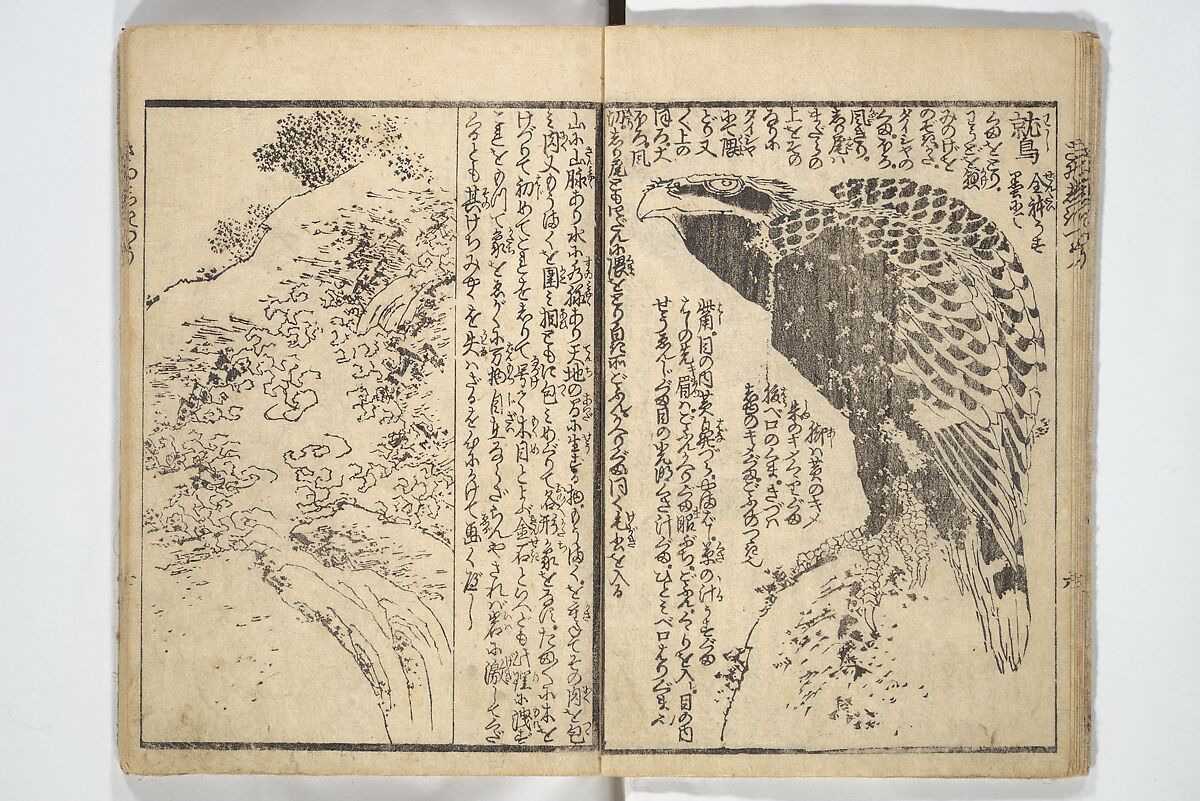 Picture Book on the Use of Coloring, first volume (Ehon saishikitsū shohen) 繪本彩色通 初編, Katsushika Hokusai 葛飾北斎 (Japanese, Tokyo (Edo) 1760–1849 Tokyo (Edo)), Woodblock printed book; ink on paper and color scribbles, Japan