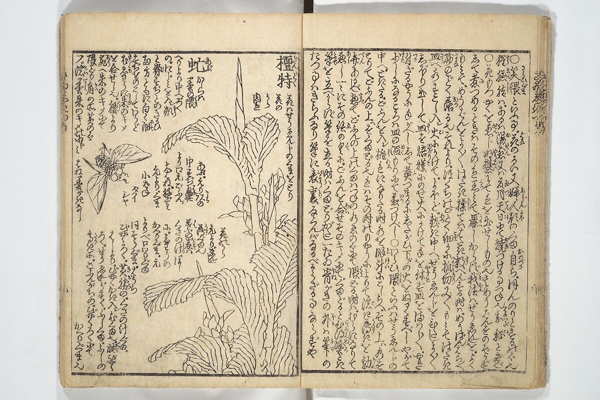 Picture Book on the Use of Coloring, first volume (Ehon saishikitsū shohen) 繪本彩色通 初編, Katsushika Hokusai 葛飾北斎 (Japanese, Tokyo (Edo) 1760–1849 Tokyo (Edo)), Woodblock printed book; ink on paper and color scribbles, Japan