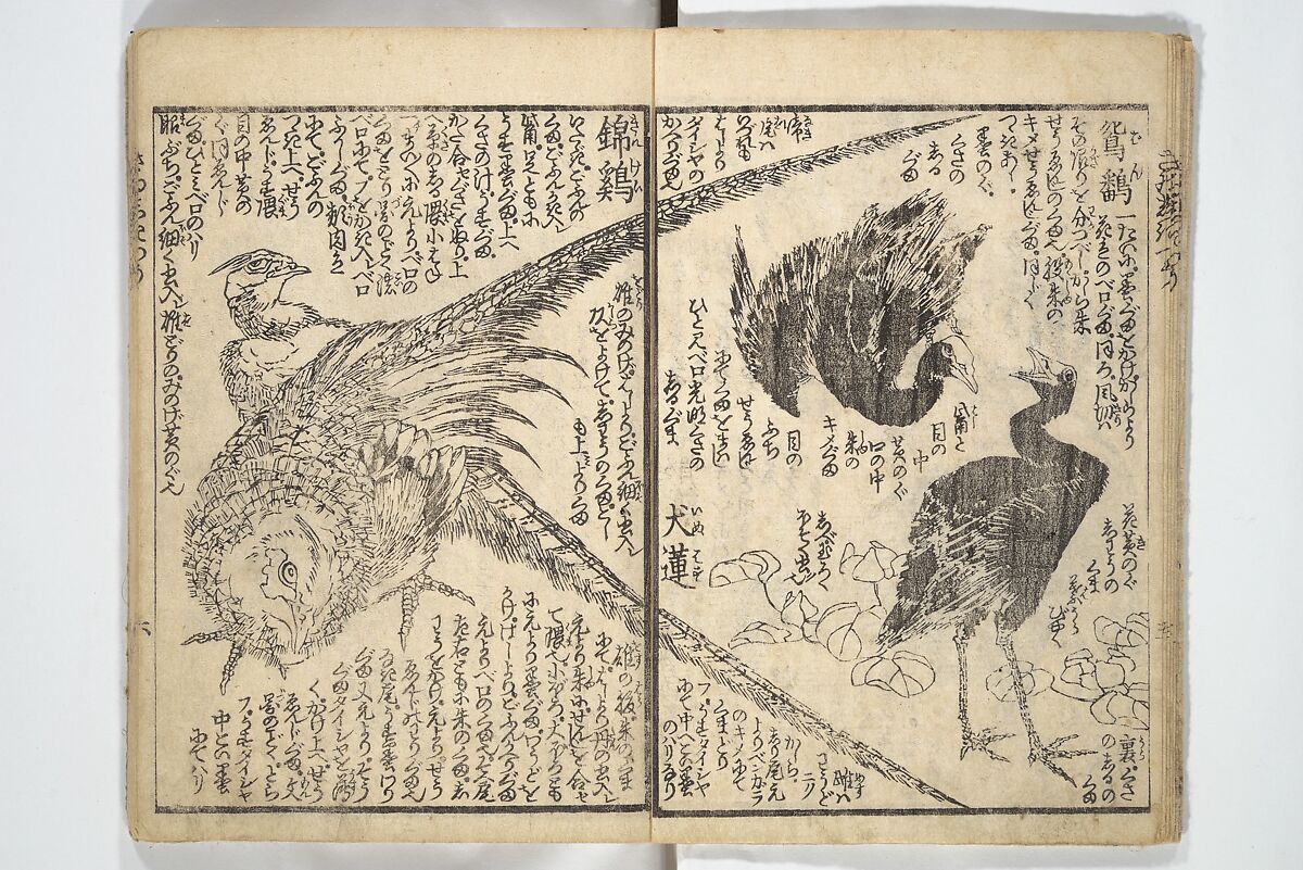 Picture Book on the Use of Coloring, first volume (Ehon saishikitsū shohen) 繪本彩色通 初編, Katsushika Hokusai 葛飾北斎 (Japanese, Tokyo (Edo) 1760–1849 Tokyo (Edo)), Woodblock printed book; ink on paper and color scribbles, Japan